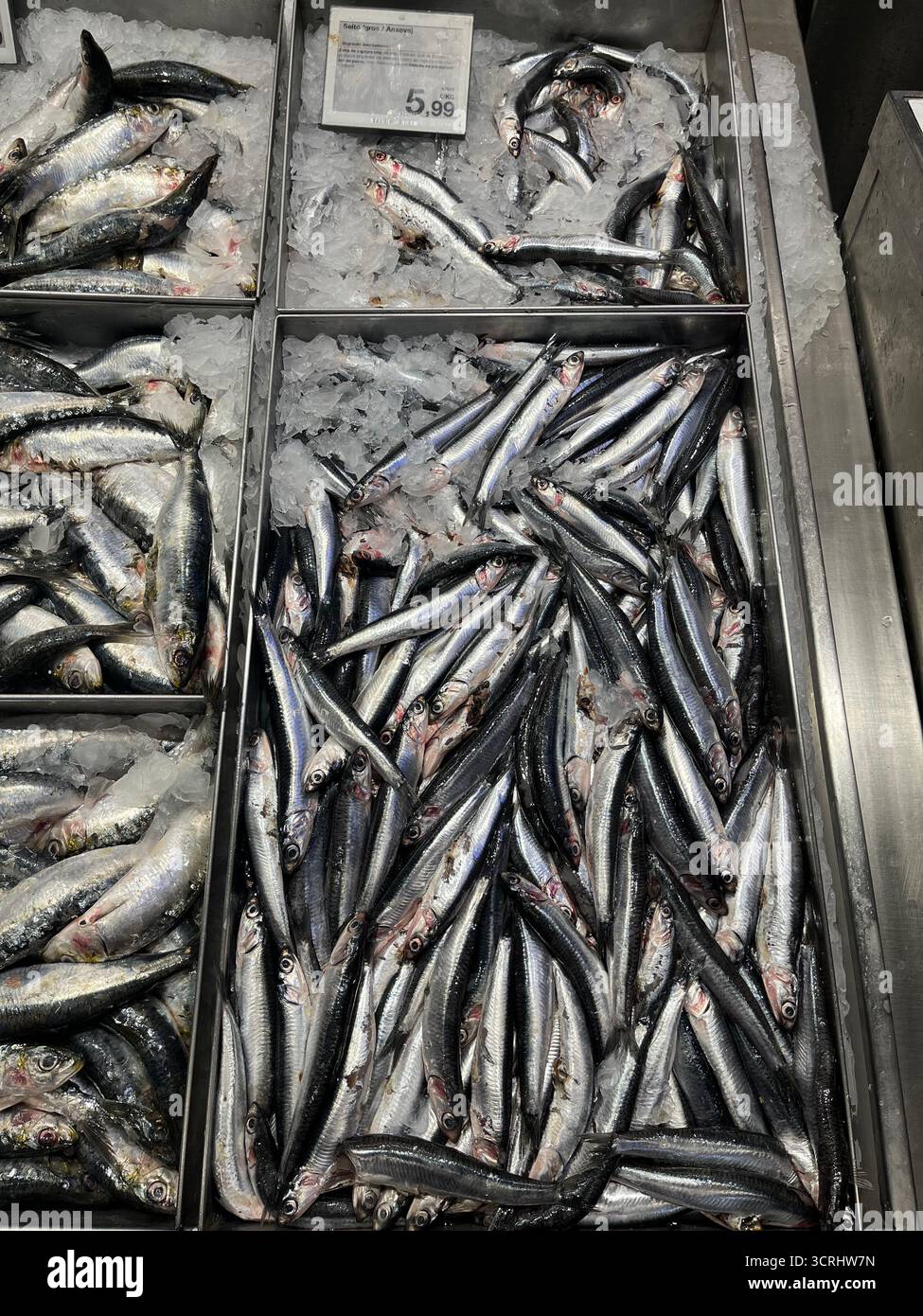 Fresh anchovies on the counter in a Spanish shop - Smartphone Captured Stock Image