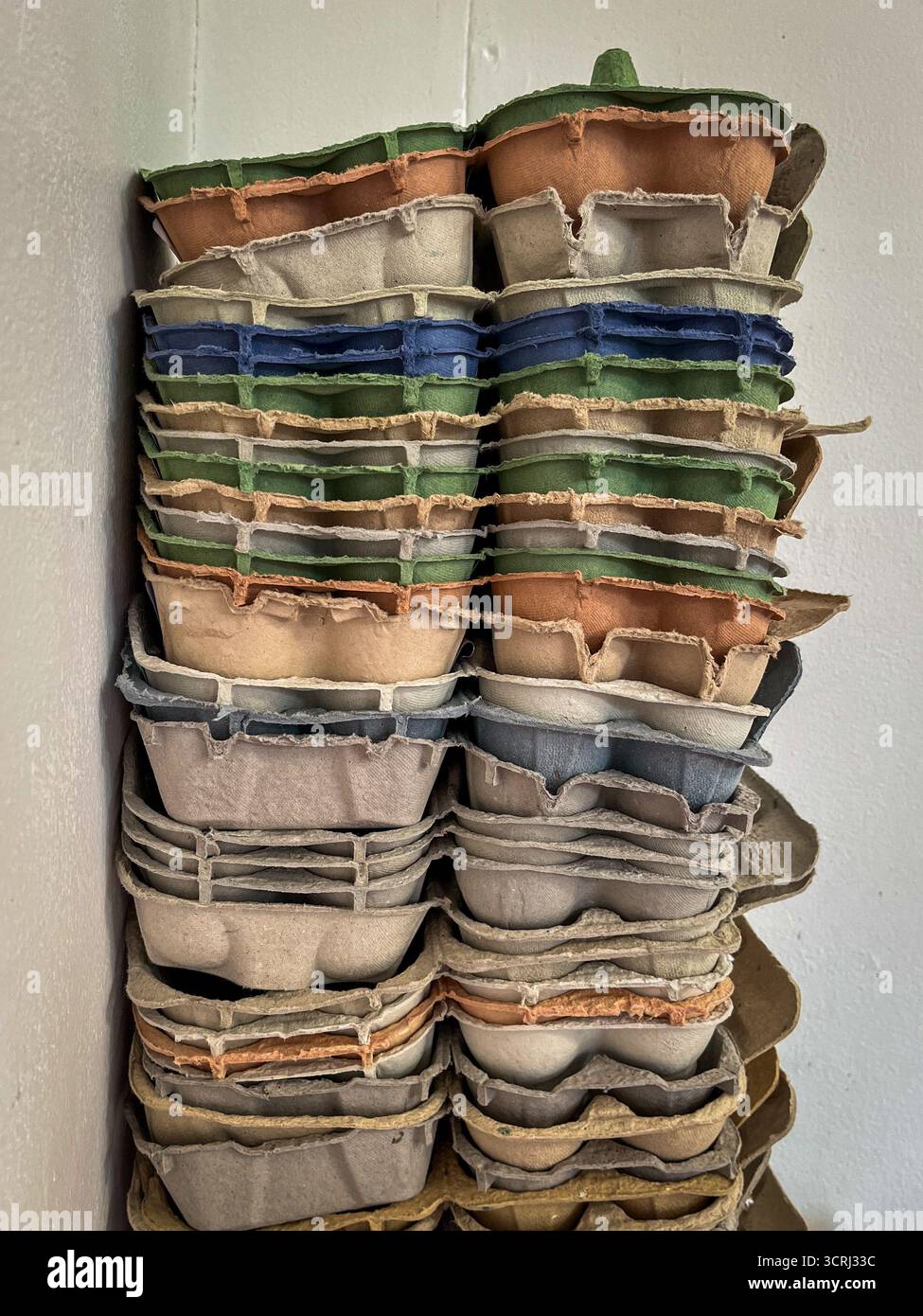 Golden Ginkgo Biloba  (beautiful autumn yellow tree) Behind a Classic English Red Brick Fence - Smartphone Captured Stock Image