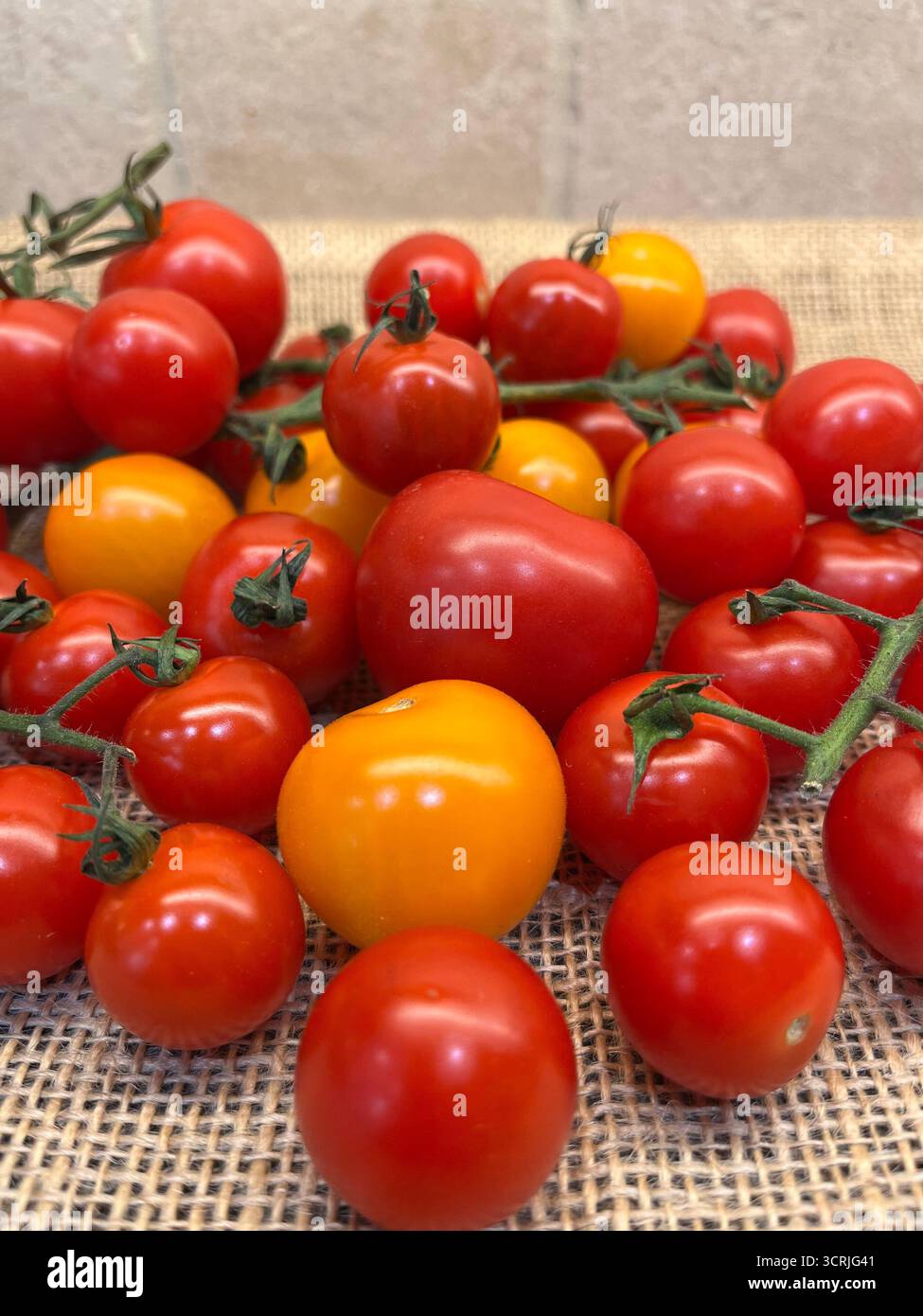 Cherry tomatoes yellow and red on branches sacking cloth - Smartphone Captured Stock Image