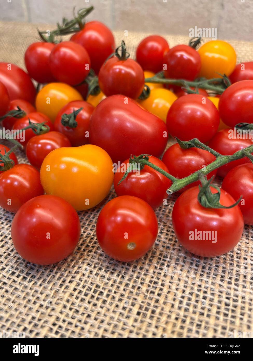 Cherry tomatoes yellow and red on branches sacking cloth - Smartphone Captured Stock Image