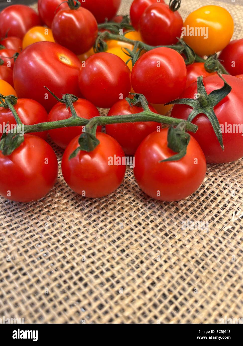Cherry tomatoes yellow and red on branches sacking cloth - Smartphone Captured Stock Image