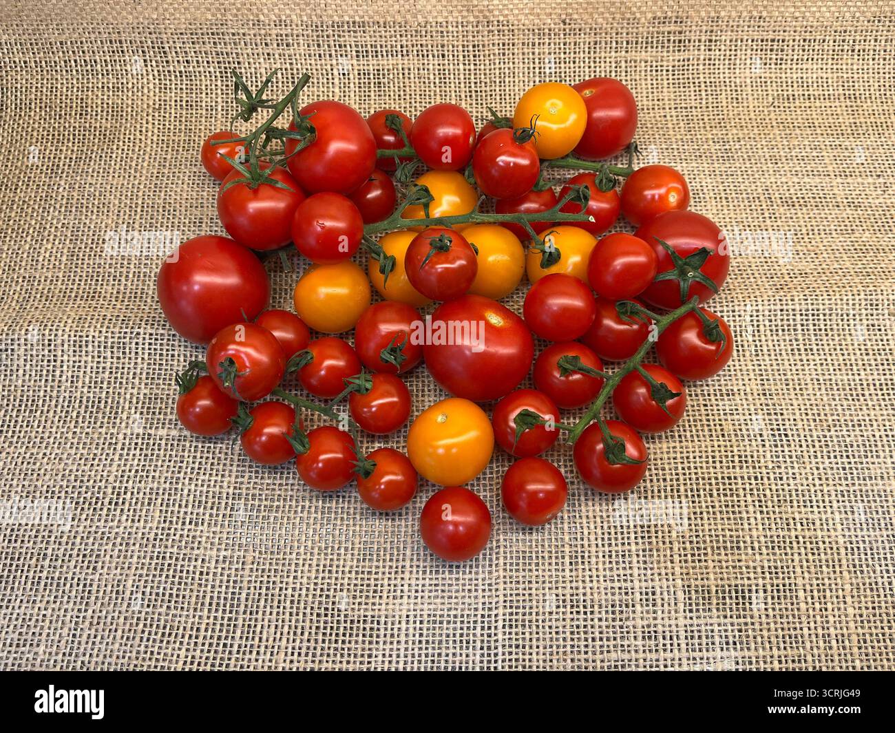 Cherry tomatoes yellow and red on branches sacking cloth - Smartphone Captured Stock Image