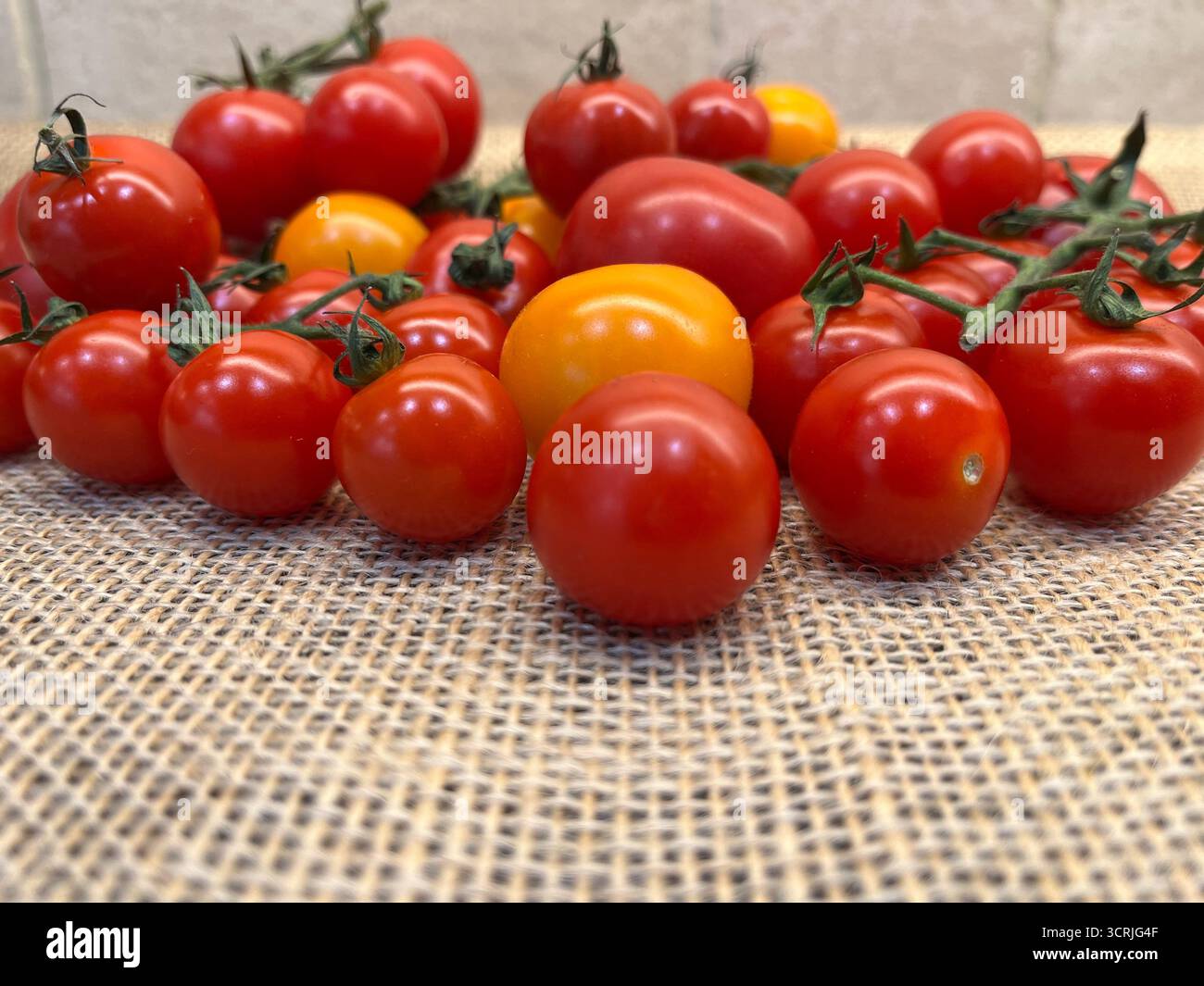 Cherry tomatoes yellow and red on branches sacking cloth - Smartphone Captured Stock Image