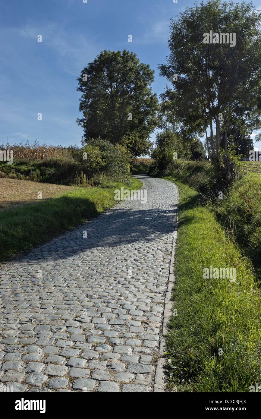 Summer view of the 'Oude Kwaremont' Climb, well known from the Tour of Flanders bike race. It is a cobblestoned hill near Kluisbergen in the Flemish A - Stock Image