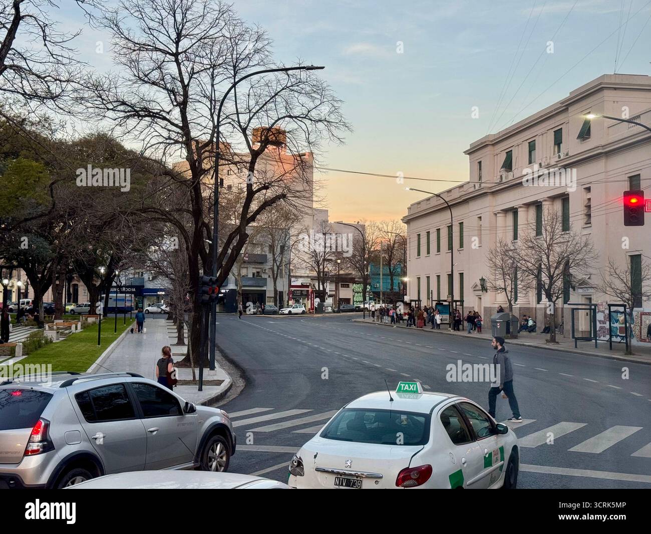 A city intersection with a crosswalk and classical buildings, lined with tall leafless trees and cars waiting at the traffic light on a sunny day. - Smartphone Captured Stock Image