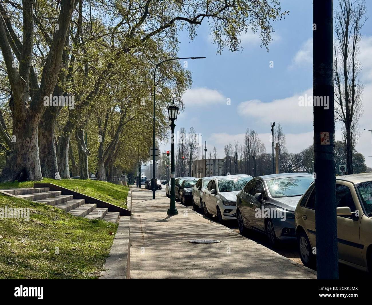 A tree-lined urban street with parked cars and vintage street lamps on a sunny day, with a blue sky overhead. - Smartphone Captured Stock Image