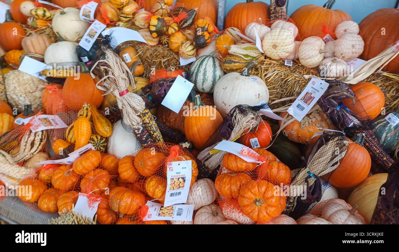 Mini Jourds Toronto, ON, Canada - October 1, 2025: A decorative market display ...