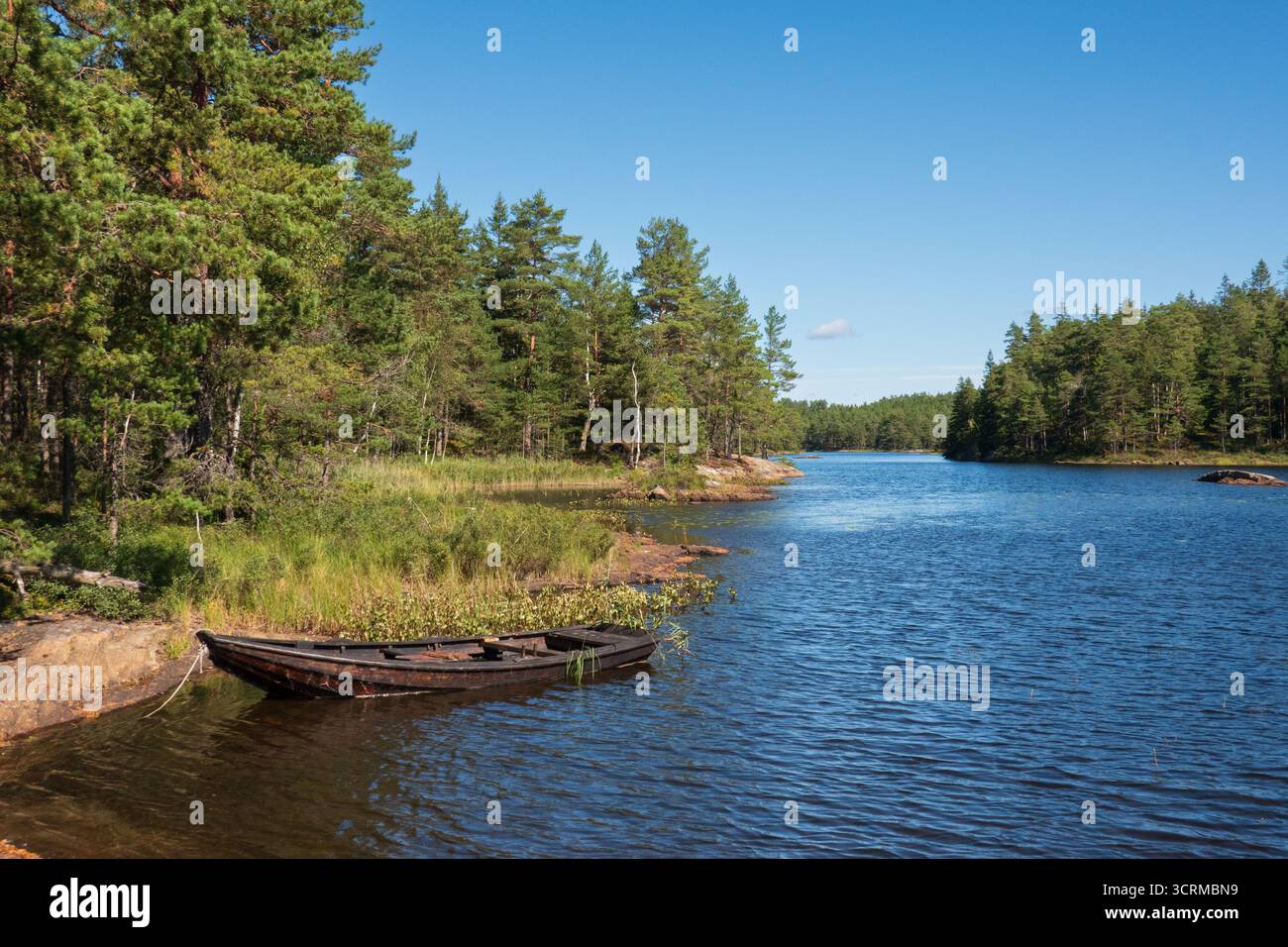 Rustic Swedish landscape, rowboat on blue lake surrounded by coniferous forest Stock Photo