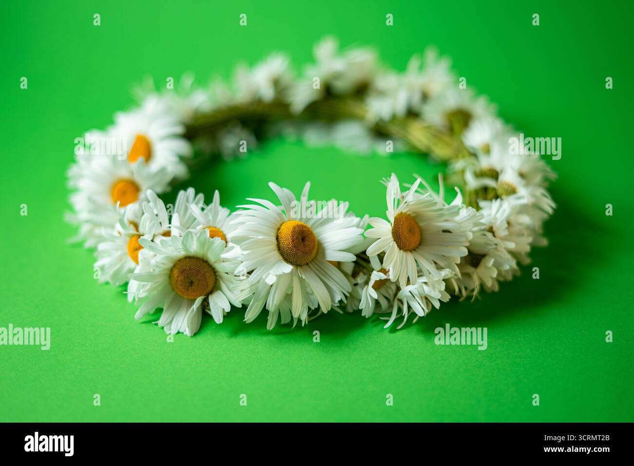 Daisy wreath on green background. Summer concept Stock Photo