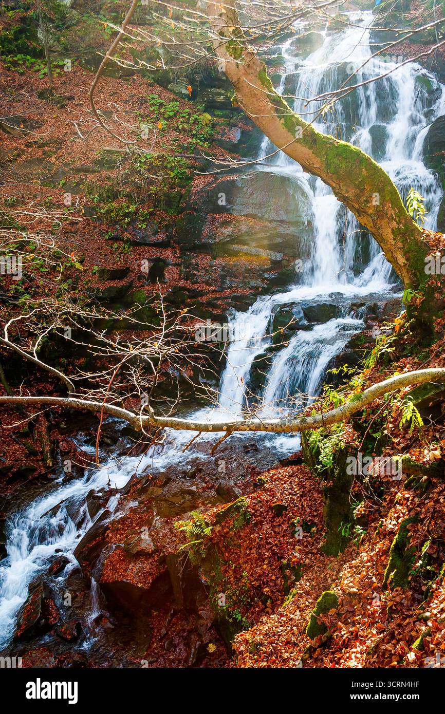 beautiful autumn scenery near the waterfall shypot. popular travel destination of Ukrainian Carpathians. mossy rocks near water stream. steep slopes i Stock Photo