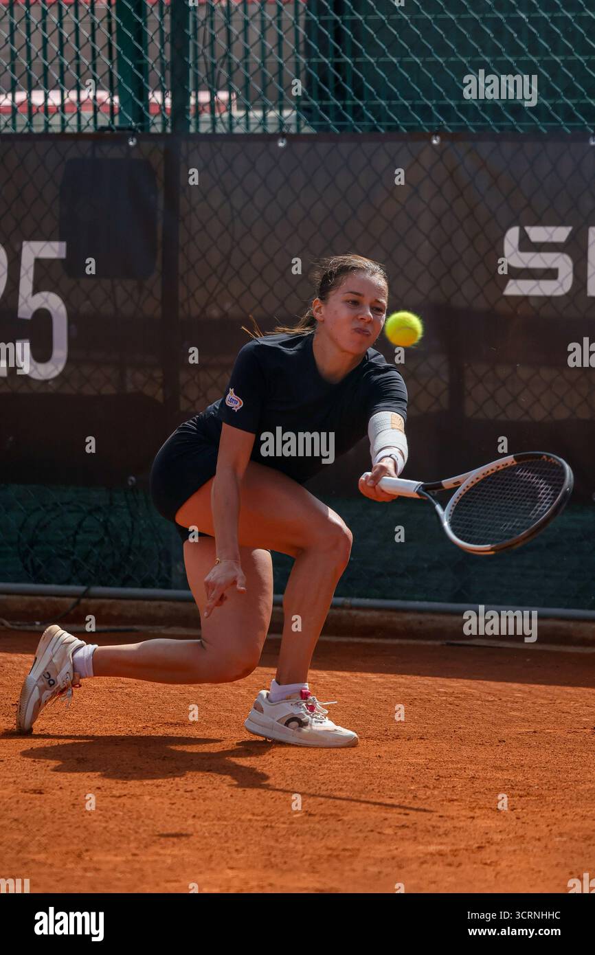 A Stellar Performance in the Final