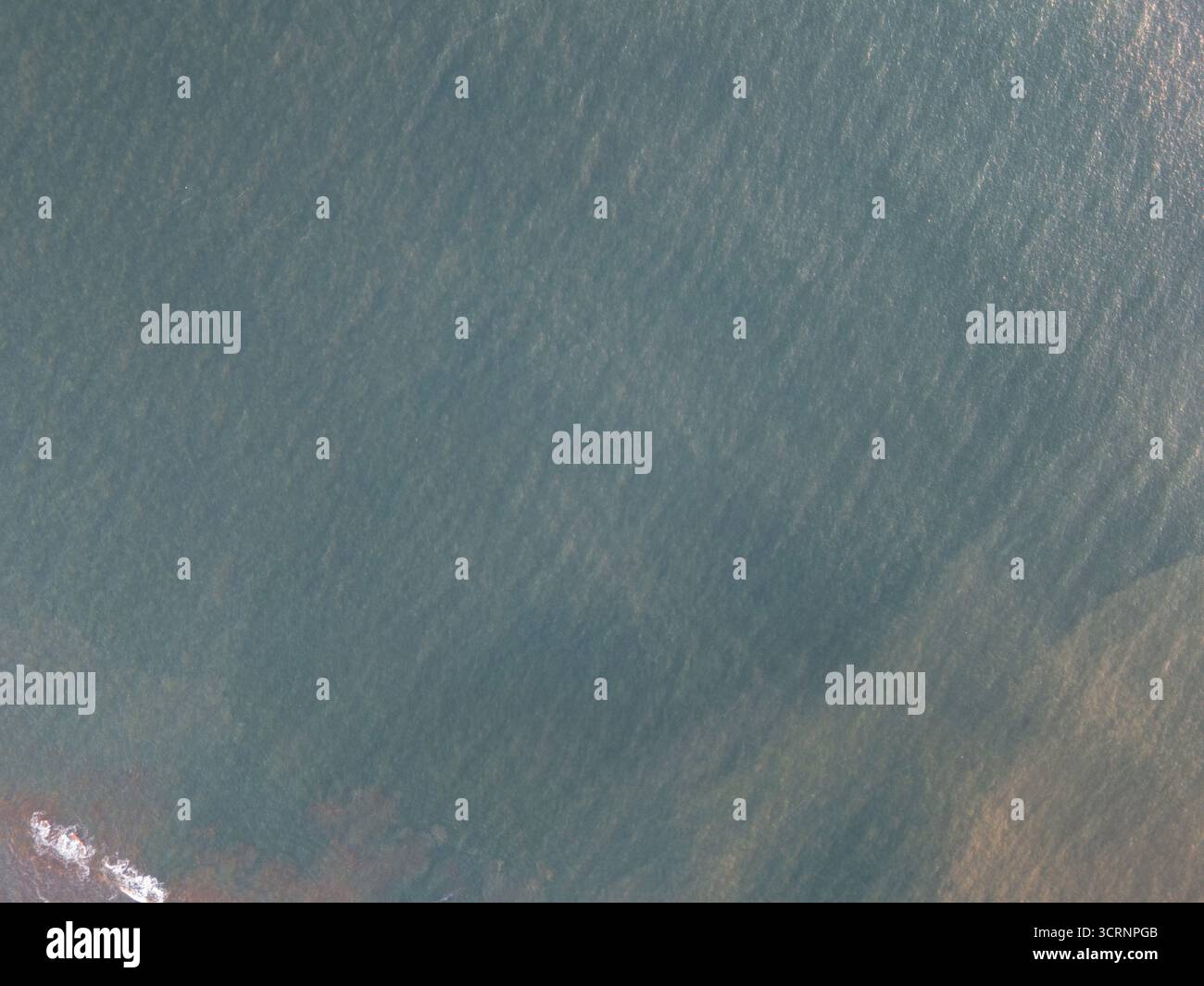Green ocean pacific shore above top view background Stock Photo