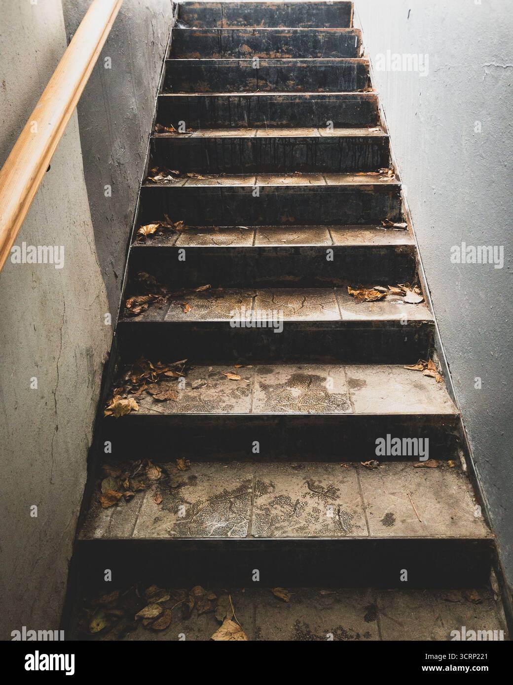 fallen leaves on a narrow outdoor stone staircase  with gray ceramic tiles Stock Photo