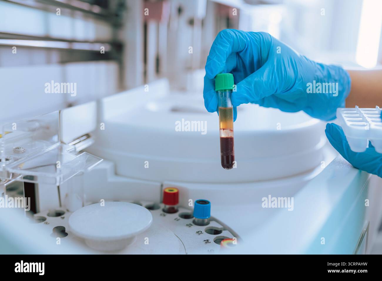 Female laboratory technologist putting test tubes with blood samples in a biochemistry centrifuge analyzer. Science and medicine concept. Stock Photo