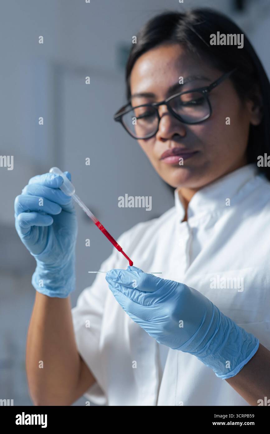 Female laboratory technician pipetting blood sample on the slide, preparing specimen for microscope examination. Blood testing concept. Stock Photo