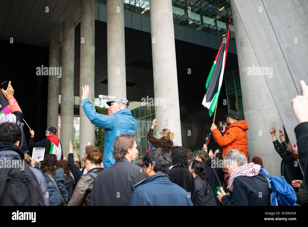 Crowd raising hands and waving palestinian flags during a pro ...