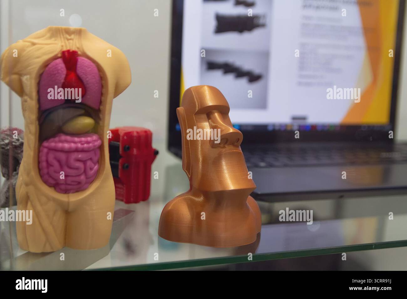 3d human body and heart anatomy hi-res stock photography and images - Alamy