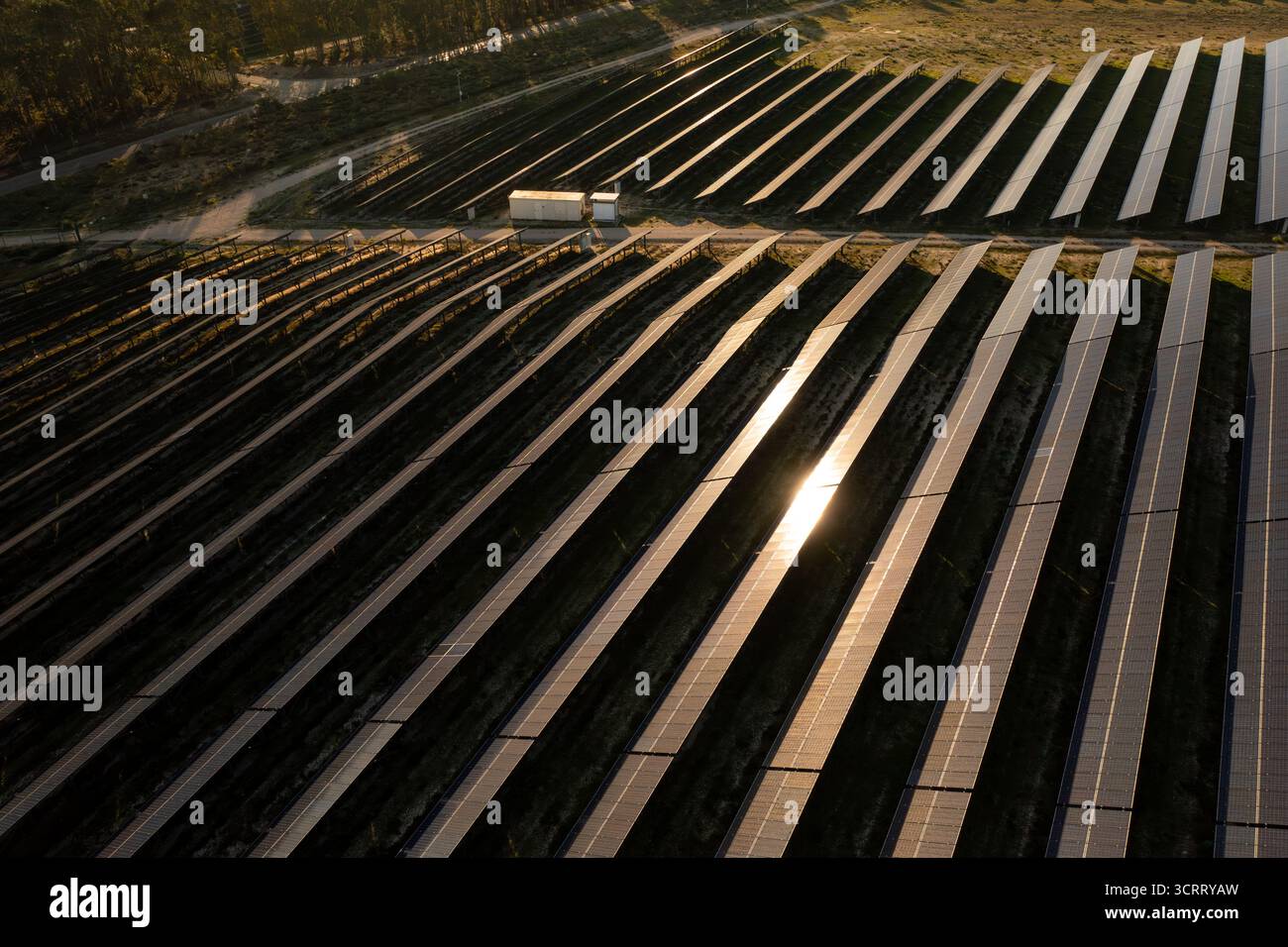 Drone view of extensive solar farm with rows of solar panels stretching ...
