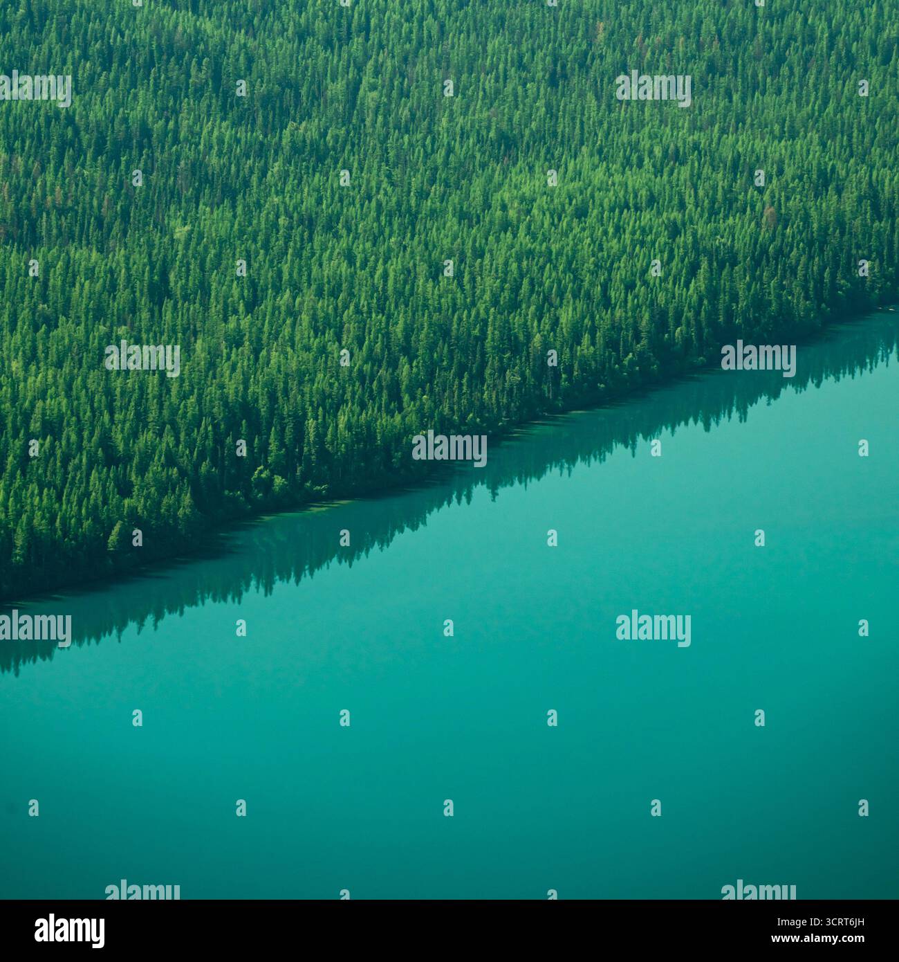 Pine Trees Line Shore of Aqua Waters of Bowman Lake in Glacier National Park Stock Photo