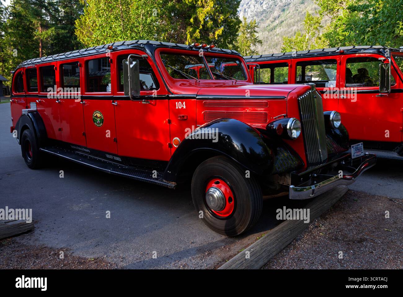 A Glacier National Park Red Buses parked for the night at the Lake McDonal Lodge. Affectionately known as 'Red Jammers,' the White Motor Company Model Stock Photo