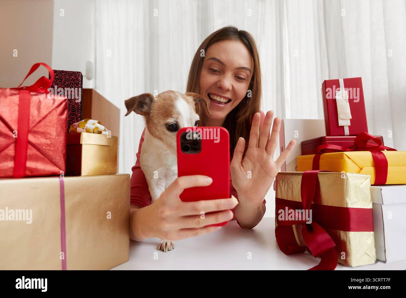 A joyful woman delighting in a festive moment alongside her playful dog and the colorful gifts spread out on a table Stock Photo
