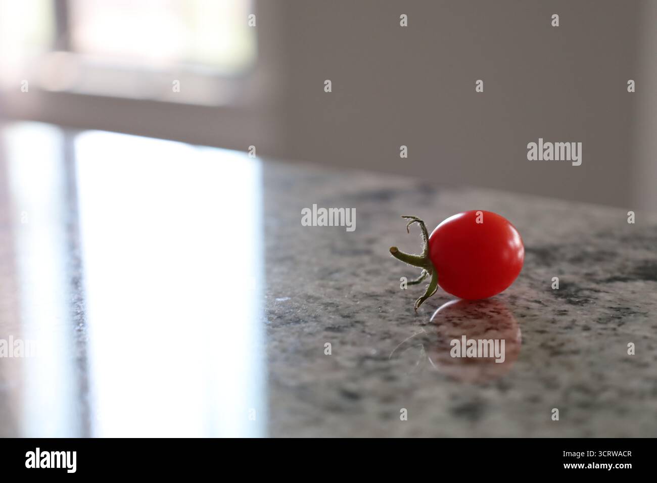Single Cherry Tomato on Countertop Stock Photo