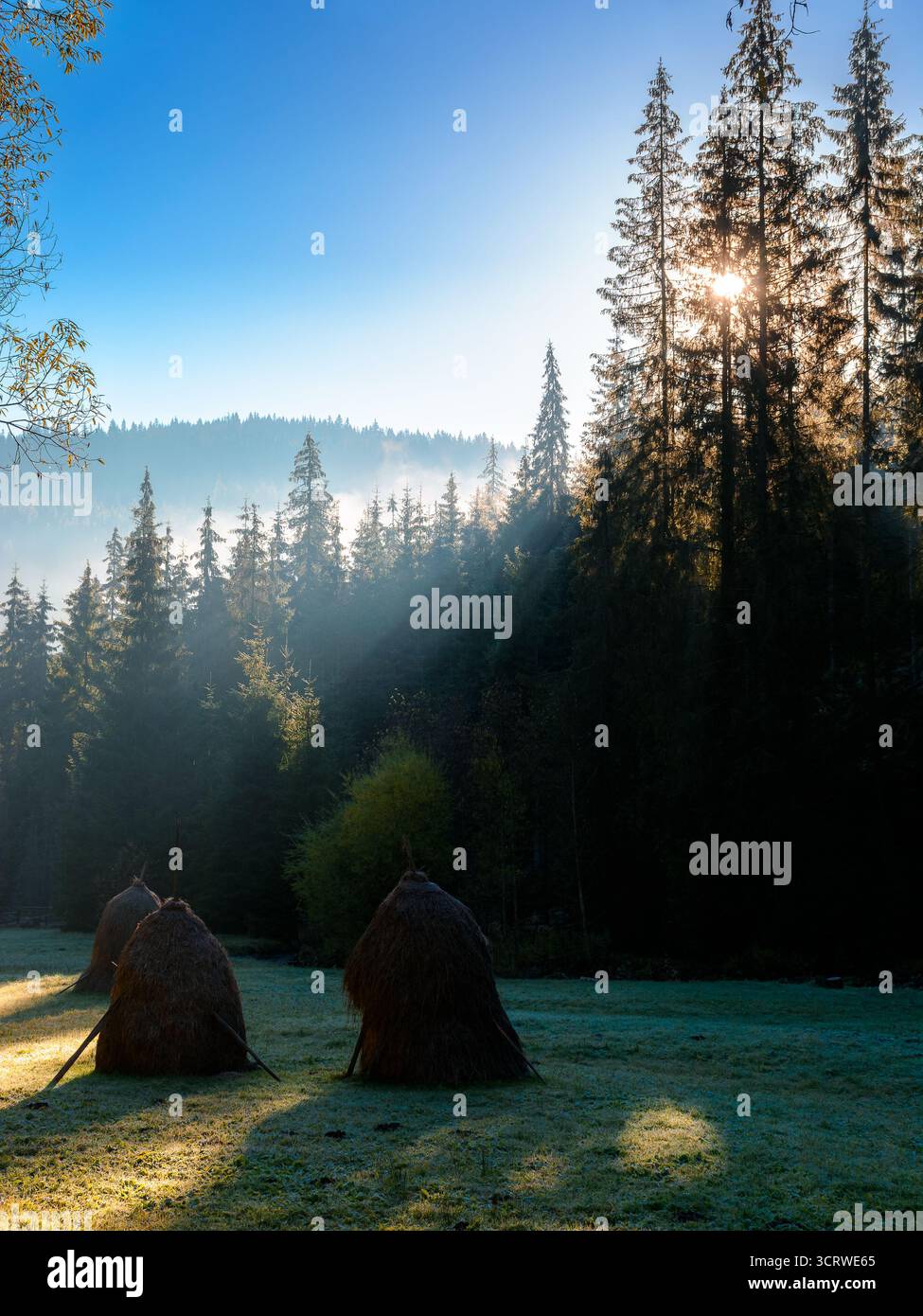 mountainous rural landscape of romania in autumn. scenic view. foggy sunrise. transylvania countryside scenery in fall season. haystacks on field in s Stock Photo