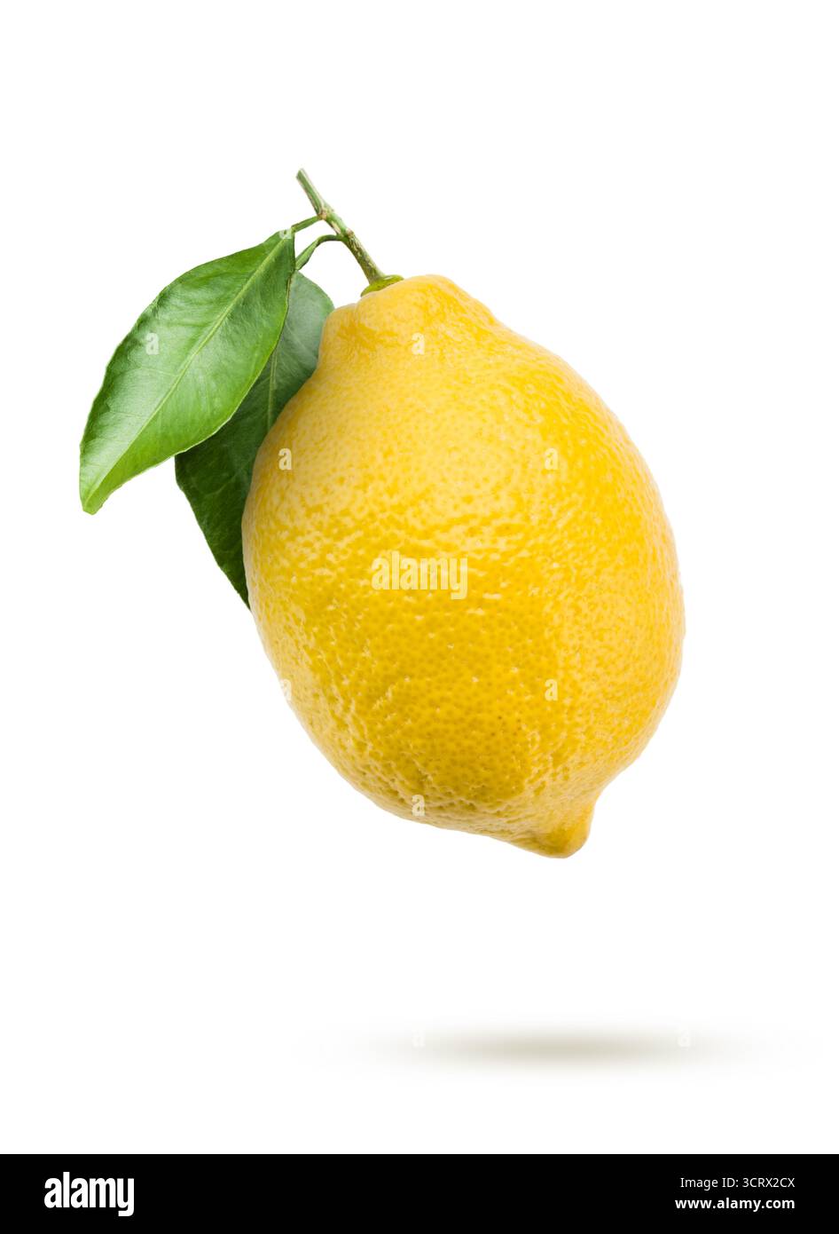 Lemon with leaves, isolated on white background. Stock Photo
