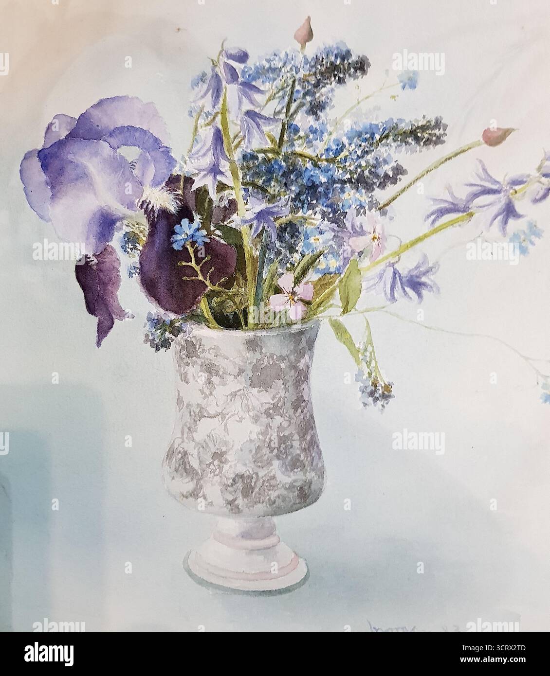 Watercolour drawing showing hi-res stock photography and images - Alamy