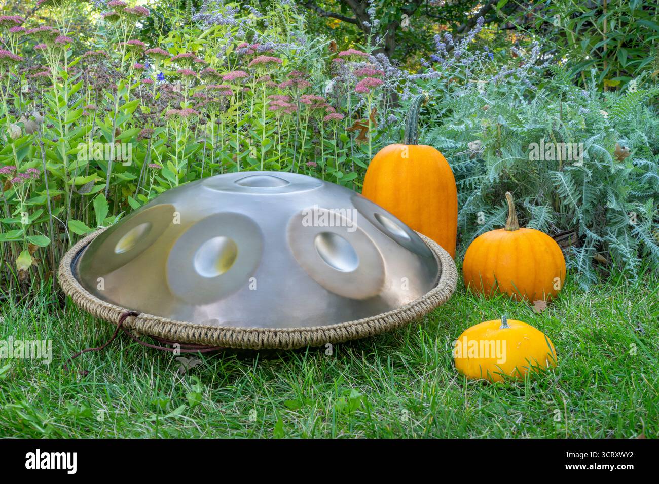 handpan drum outdoors in a backyard, a modern, melodic percussion instrument made of steel, known for its soothing, resonant tones Stock Photo