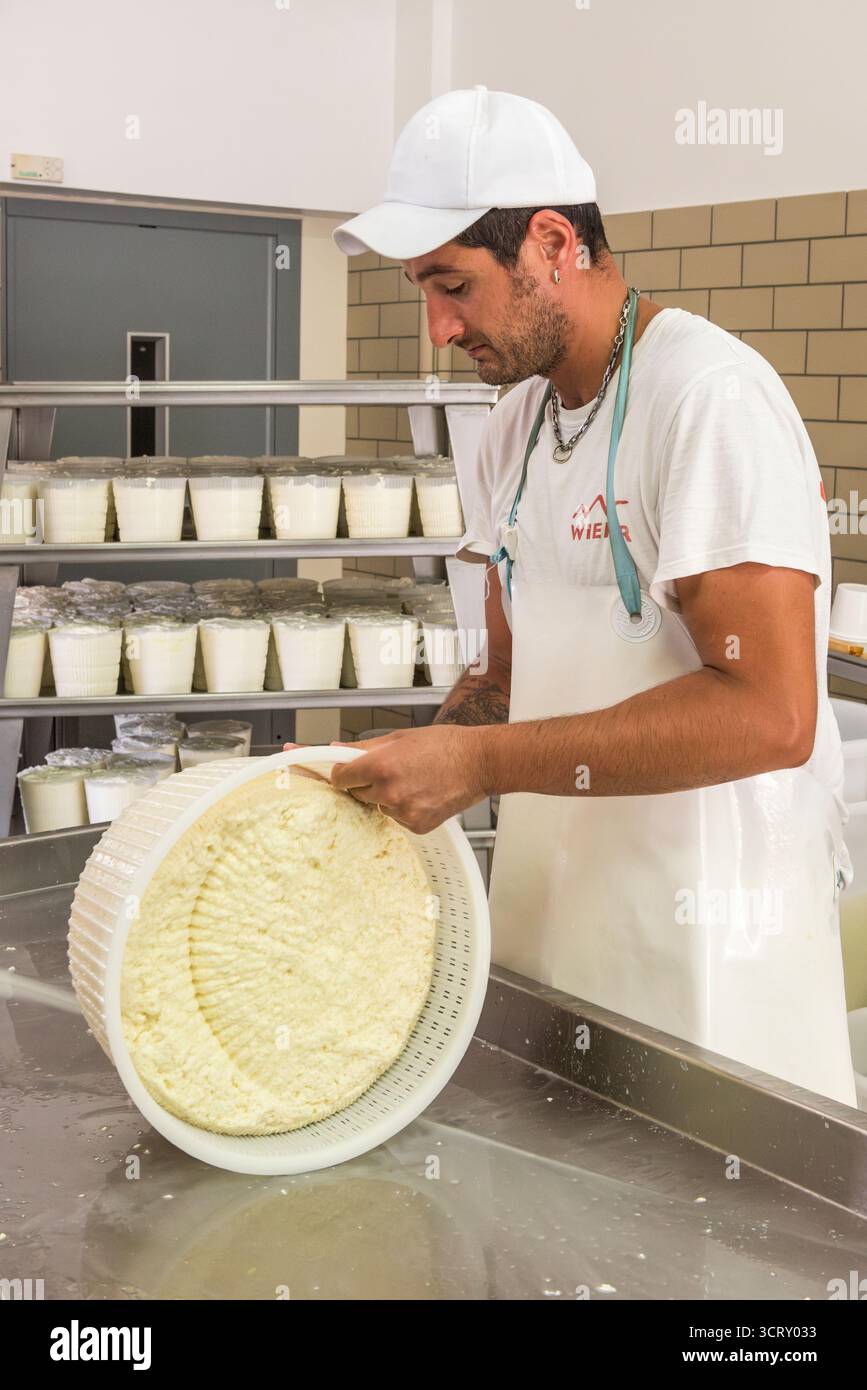 A Sicilian cheesemaker makes tuma from sheeps' milk and rennet, the first stage of producing pecorino cheese (Sicily, Italy) Stock Photo