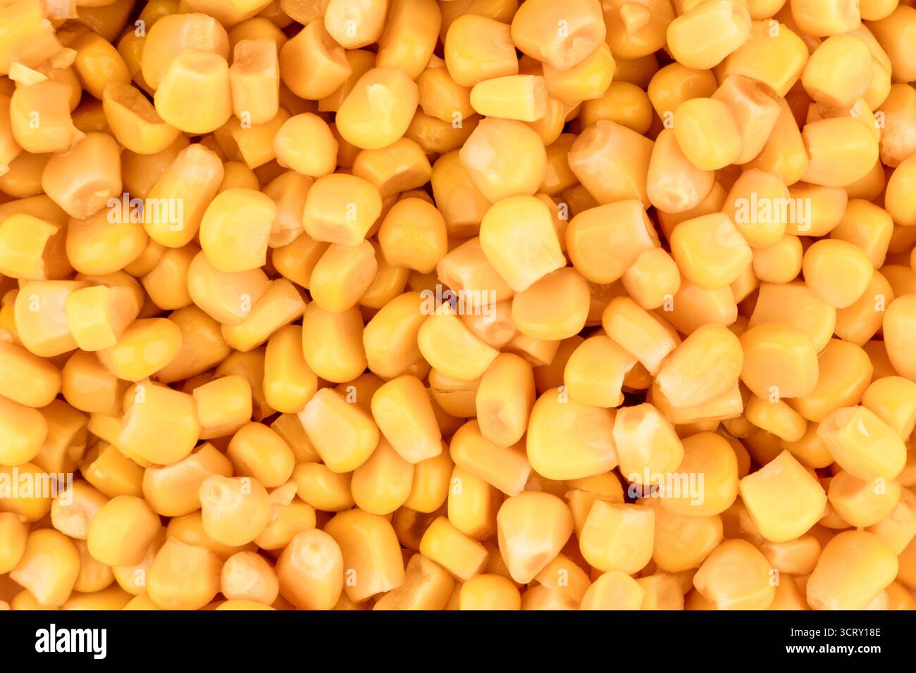 Yellow Canned Grain Corn Background. Stock Photo