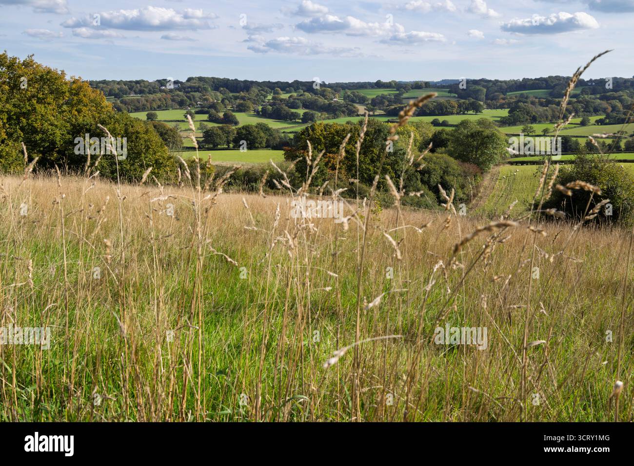 View over the High Weald countryside, Burwash, East Sussex, England, United Kingdom, Europe Stock Photo