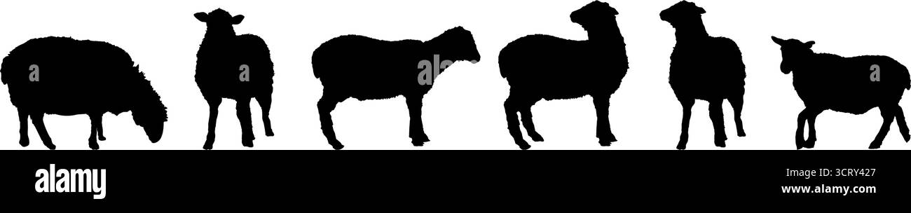 Set of four farm sheep and lamb silhouettes Stock Vector Image & Art ...
