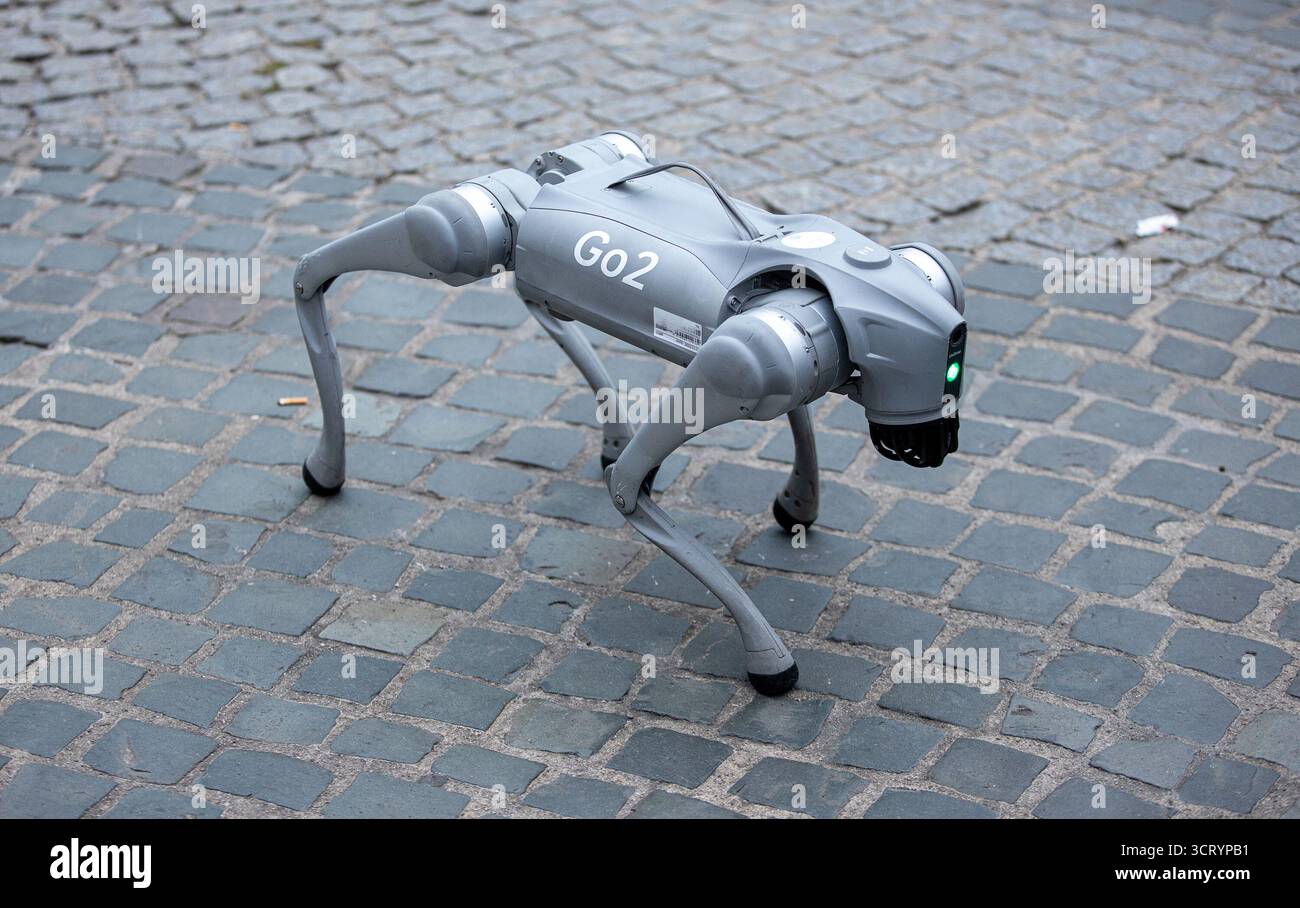 03 October 2025, Saarland, Saarbrücken: A robot dog with the ...