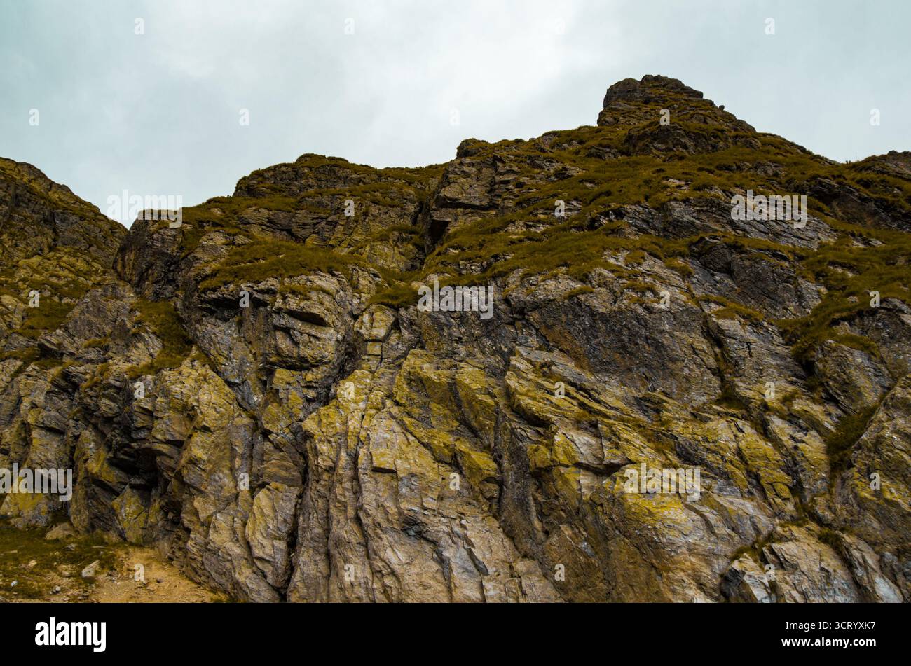 Steep Mountain Cliff Texture with Yellow Lichen and Alpine Grass on a Cloudy Day Stock Photo