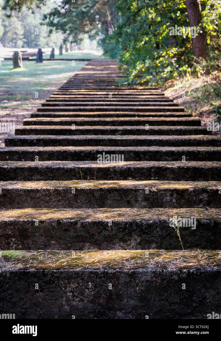 Path of the former railway spur in Treblinka extermination camp, built by Nazi Germany in occupied Poland Stock Photo