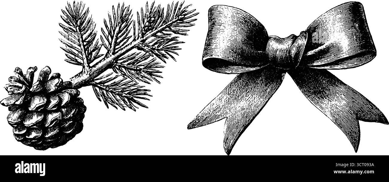Botanical engraving set featuring fir branch, pine cone, and ribbon bow silhouette for seasonal design. Stock Vector