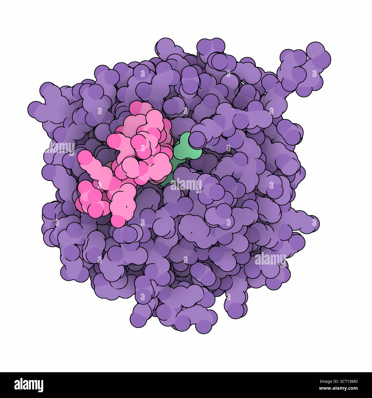 Illustration of the X-ray structure of the Foldit-designed enzyme CE6 ...