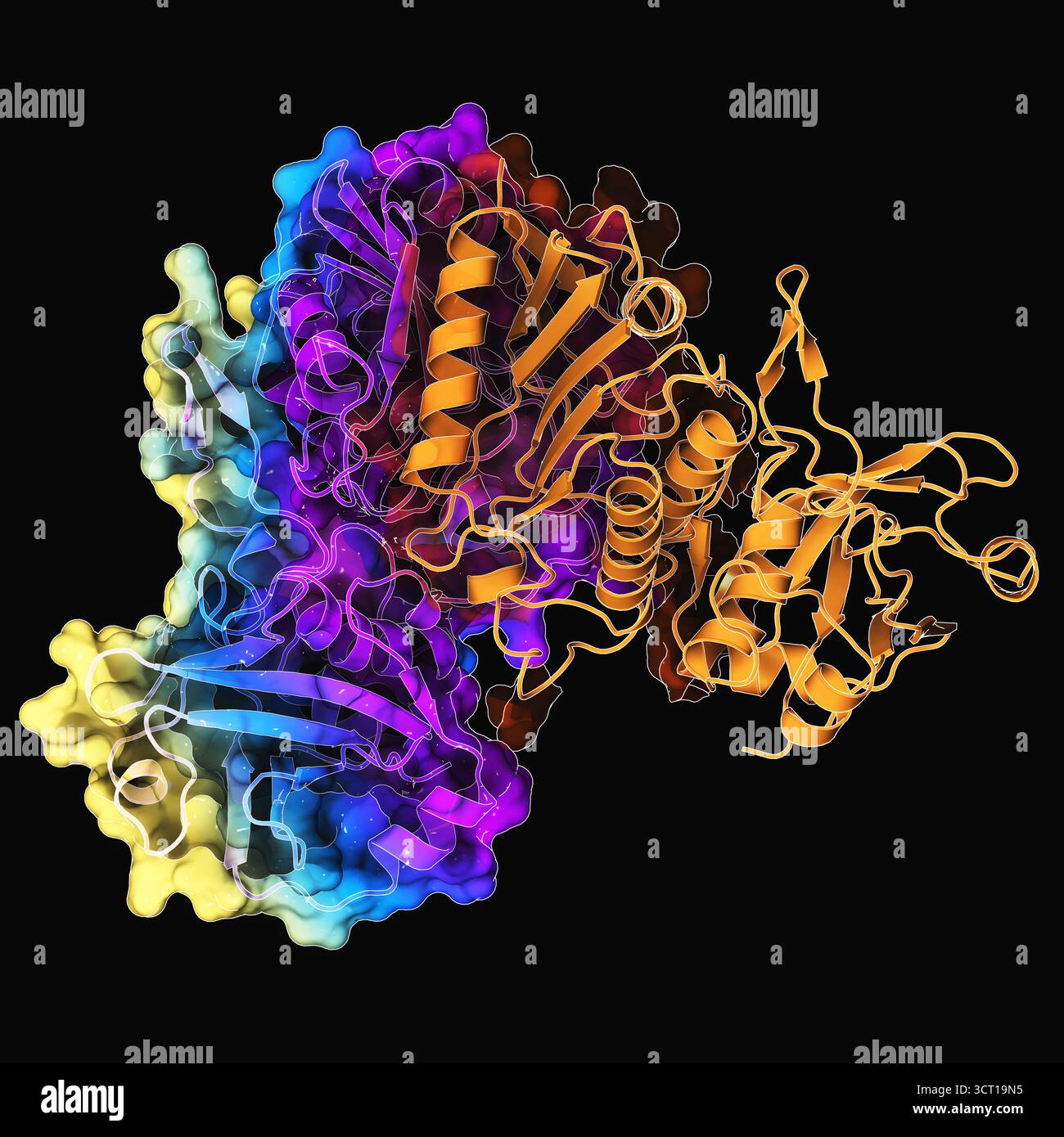 Pld Structure Illustration of the X-ray structure of the NgoAVII R-protein ...