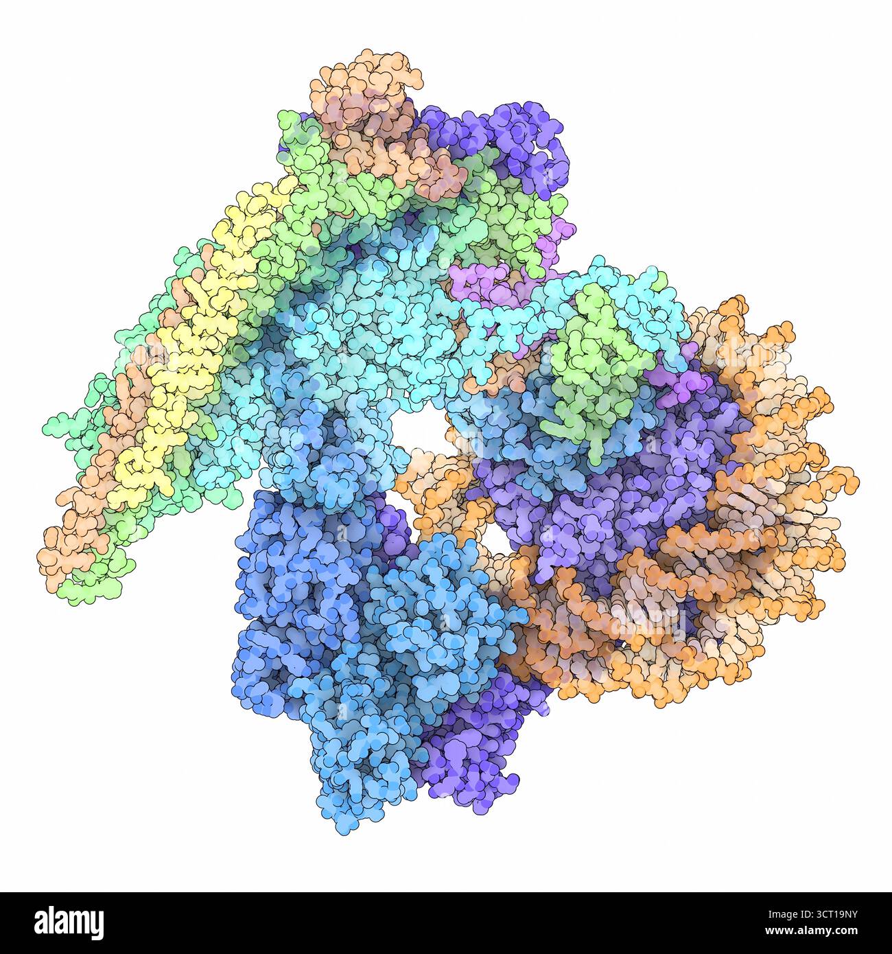 Illustration of the cryo-electron micrograph (EM) structure of the ...