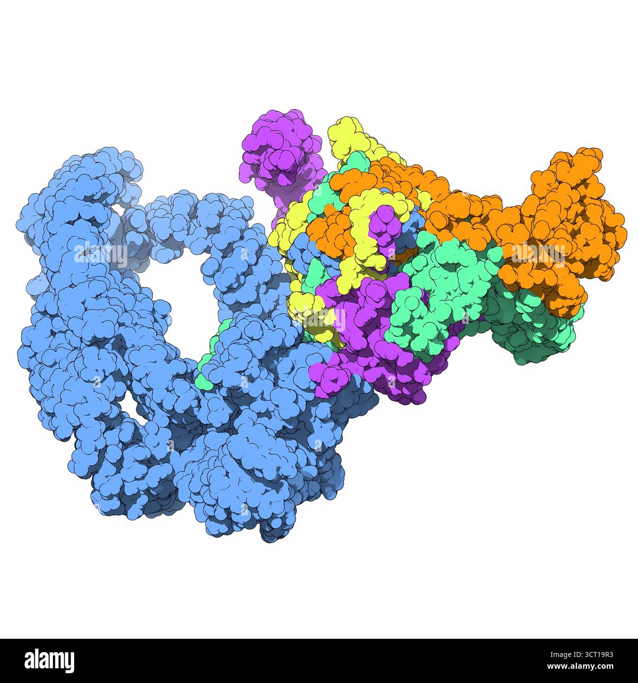 Illustration of the structure of the yeast SAGA complex bound to the ...