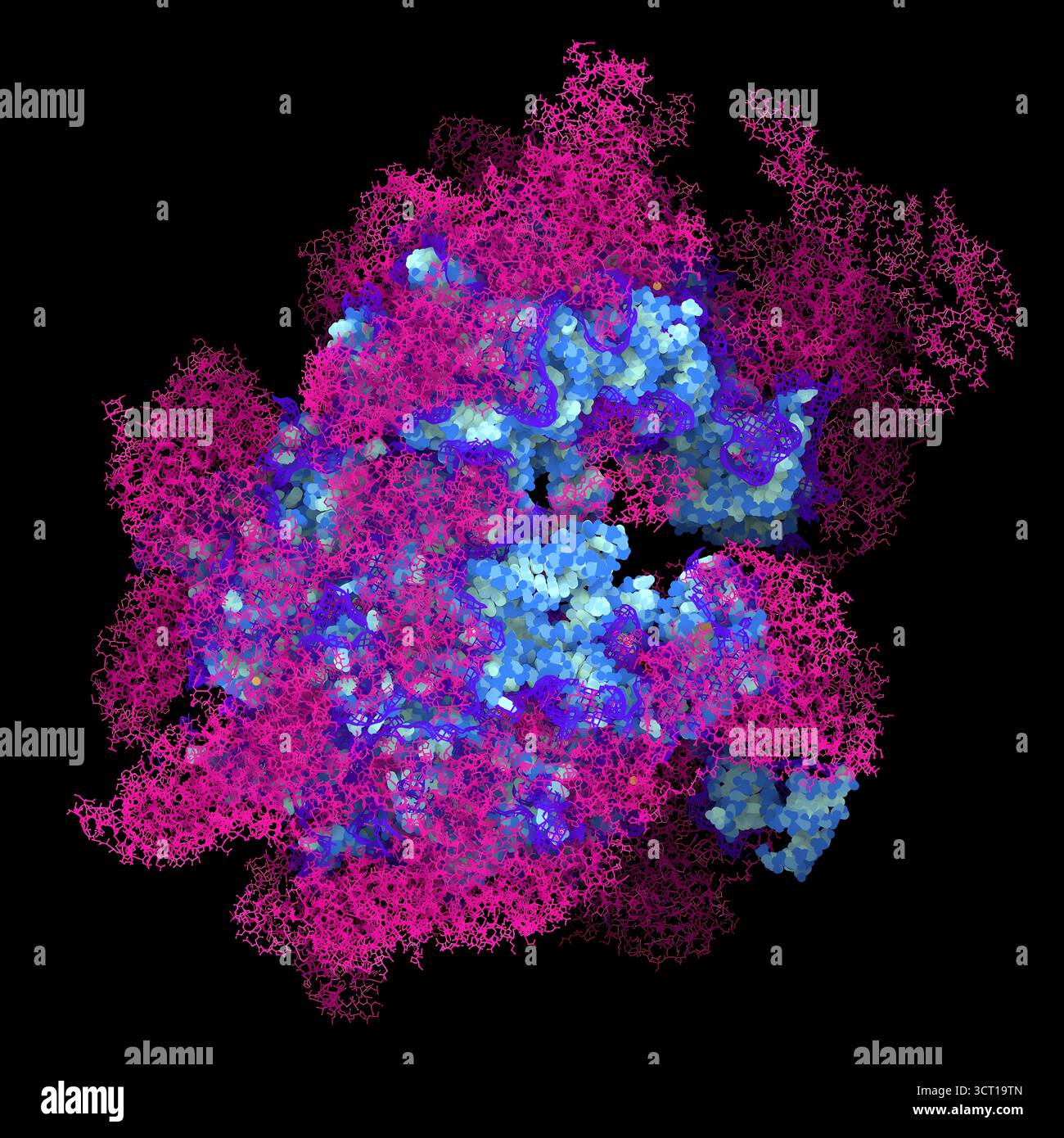 Ribosome electron micrograph hi-res stock photography and images - Alamy
