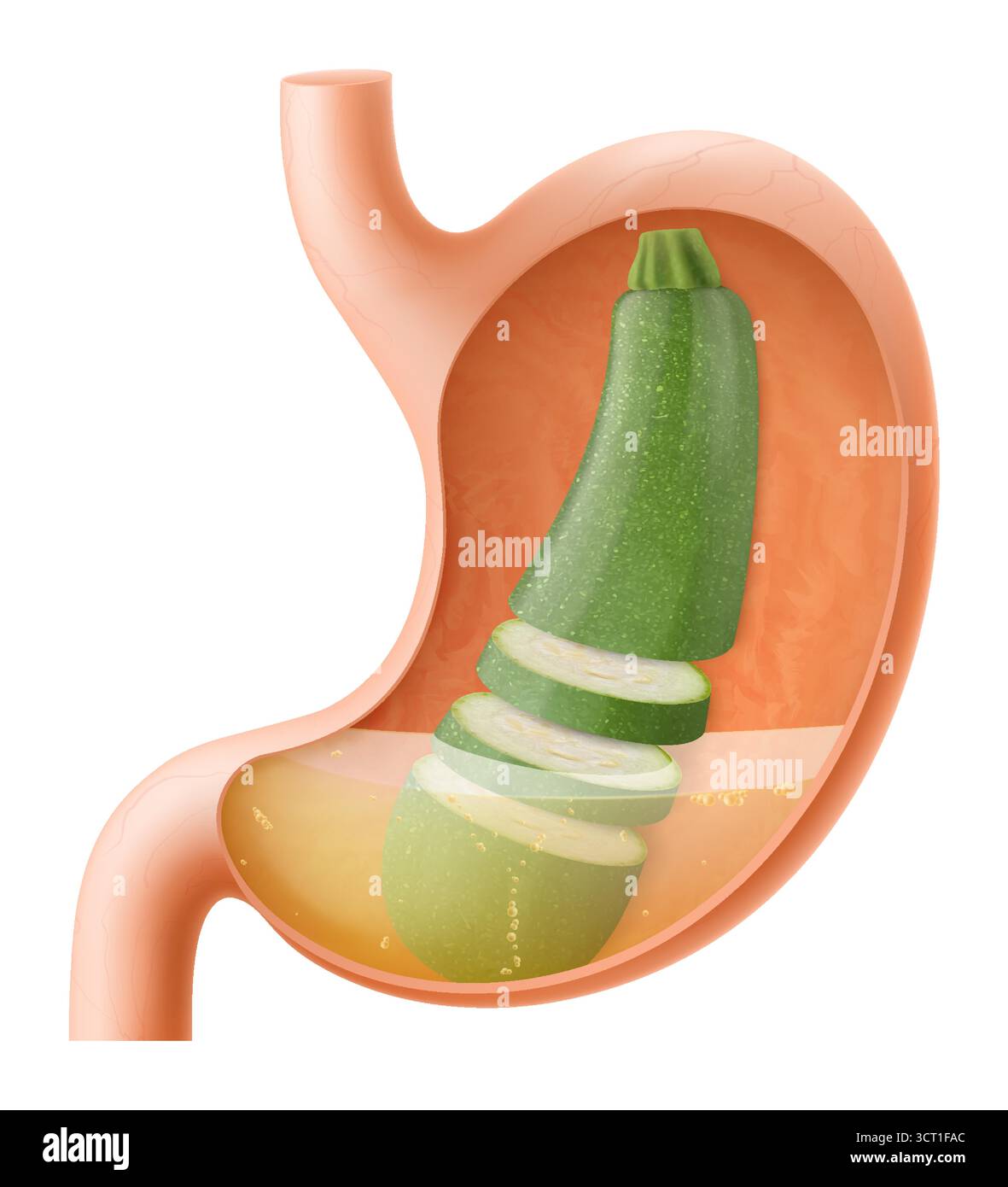 zucchini sex toy When we lose sex toy companies we love » Hey Epiphora — Where sex toys go  to be judged main image 0