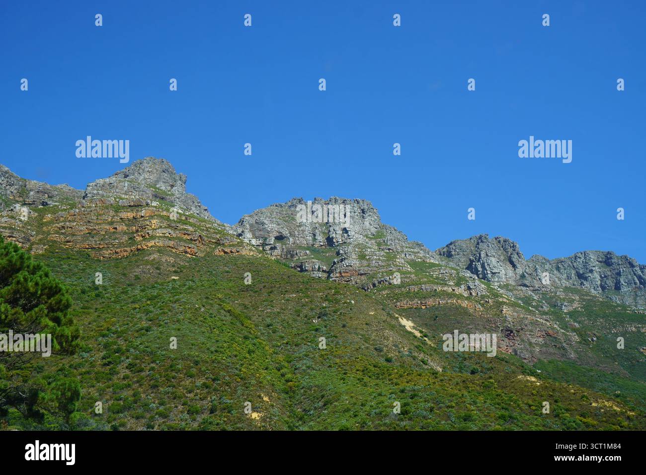 Mountain Ridge part of Table Mountain National Park, Houtbay, South ...
