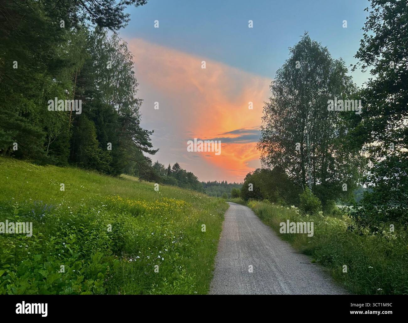 Vuosaari hill - Smartphone Captured Stock Image