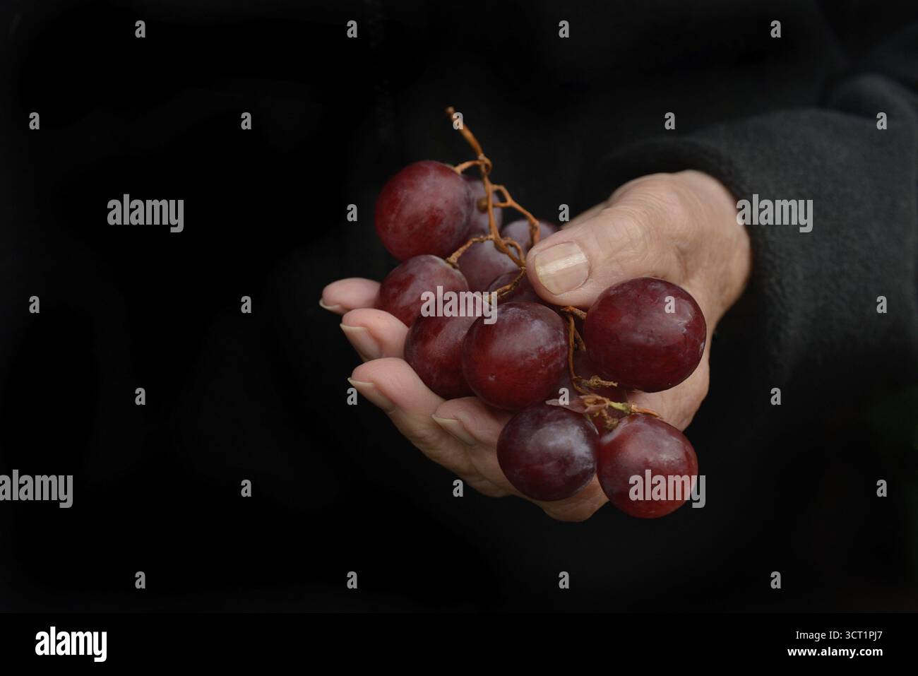 Red grapes in hand Stock Photo