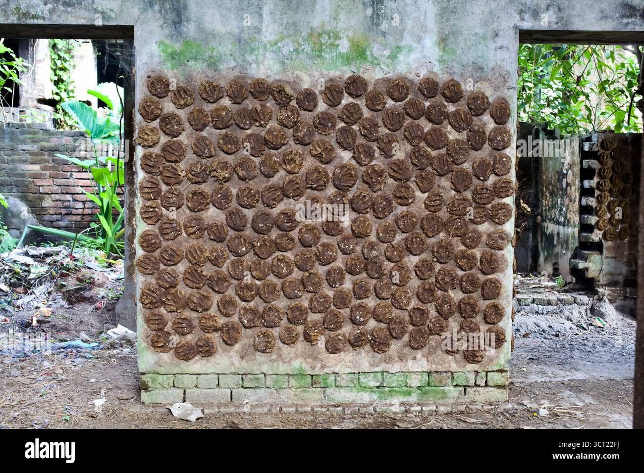 Cow dung wall hi-res stock photography and images - Alamy