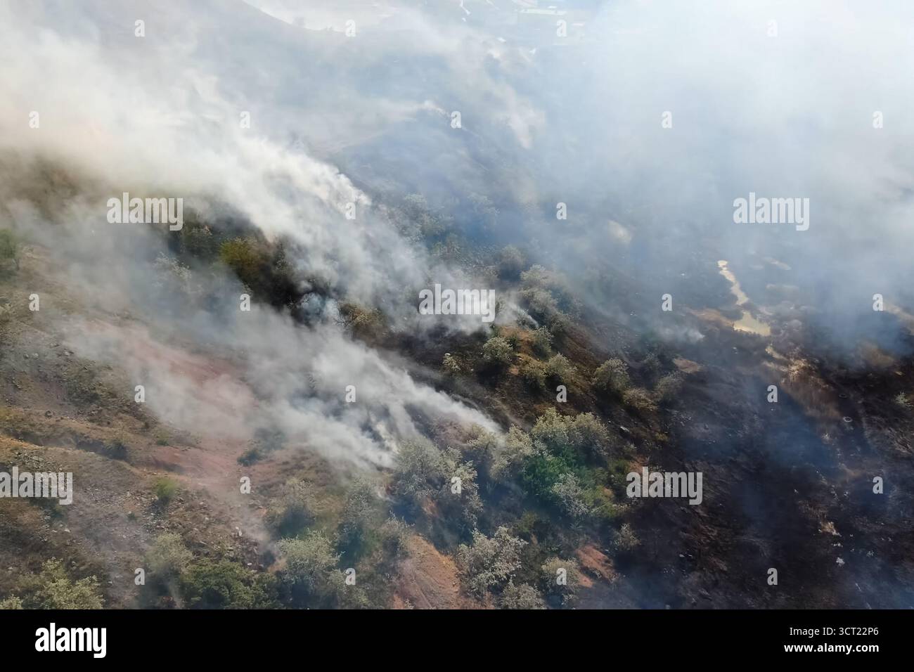 Forest fire, smoke of the surrounding area. smoke and fire Stock Photo ...