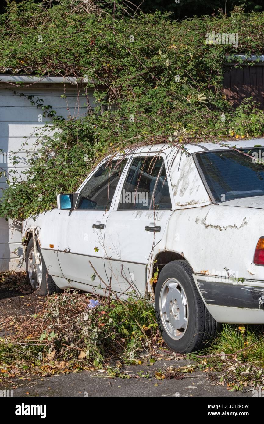 Car in the weeds hi-res stock photography and images - Alamy